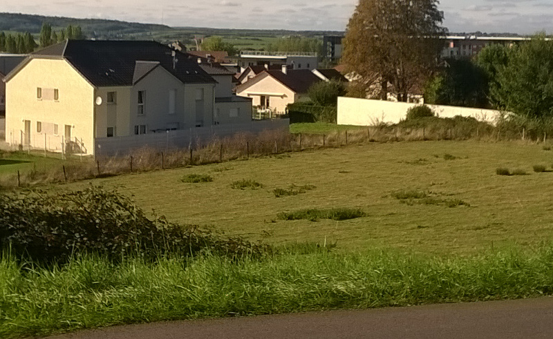 Vesoul le quartier des haberges maisons disponibles