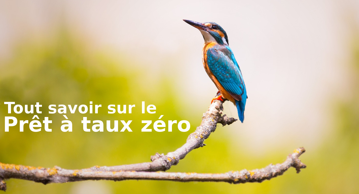 Tout savoir sur comment obtenir le prêt à taux zéro